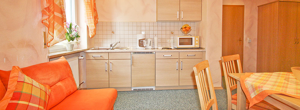 Appartement 1 mit Wohnküche